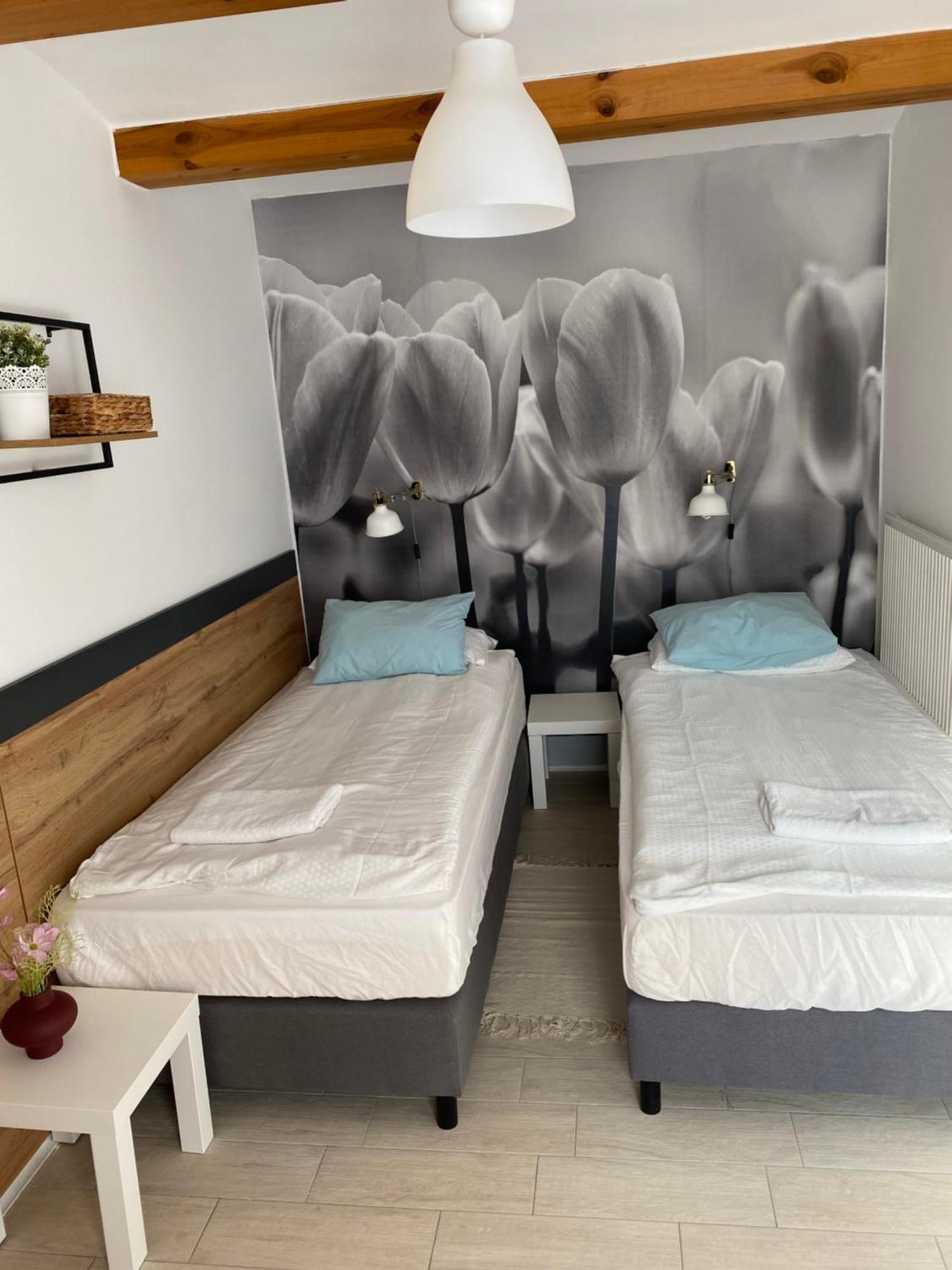 בדקסוניטומאי Levendula Apartmanhaz מראה חיצוני תמונה